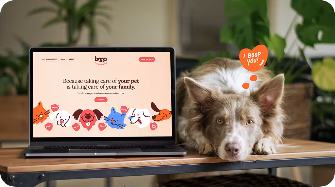 Boop website design